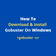 How-To-Download-Install-Gobuster-On-Windows